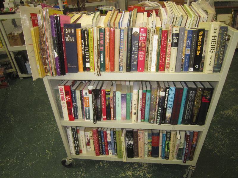 3 FULL SHELVES OF BOOKS