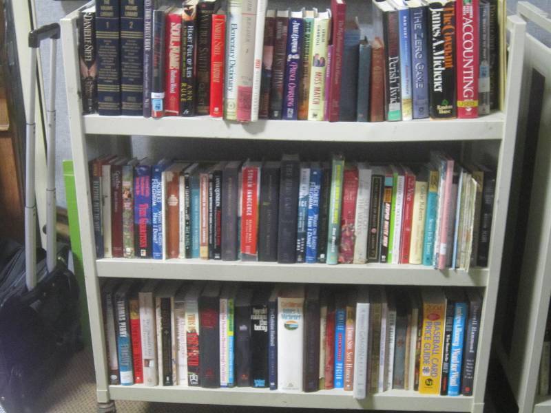 3 FULL SHELVES OF BOOKS