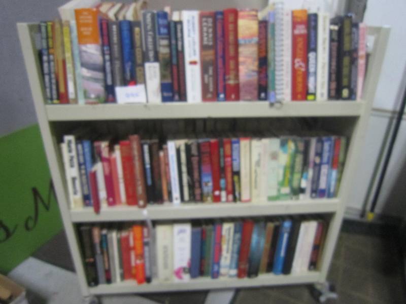 3 SHELVES OF BOOKS.