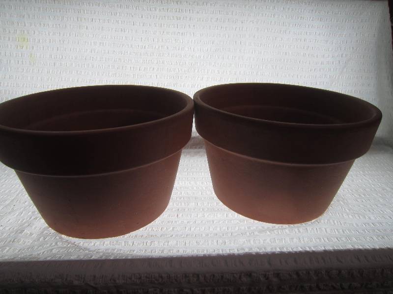 2 Flower Pots