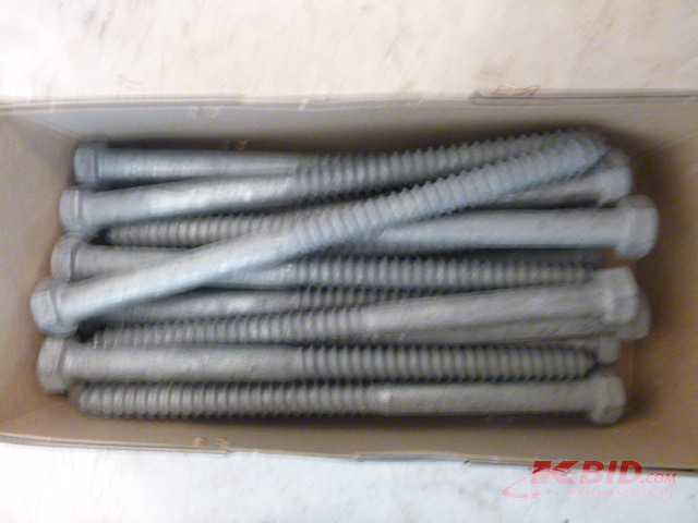 20 Lag Bolts