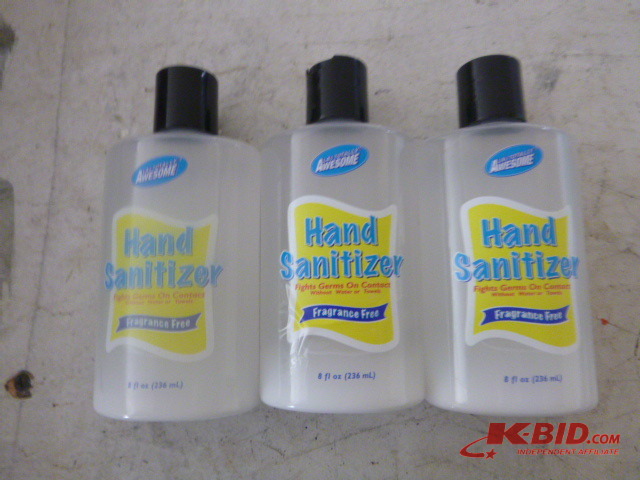 3 Bottles of Hand Sanitizer