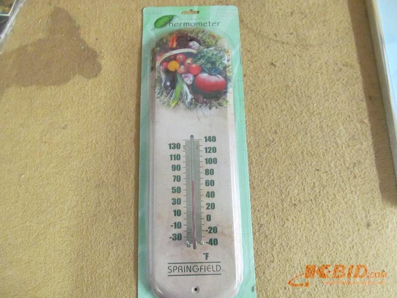 Thermometer