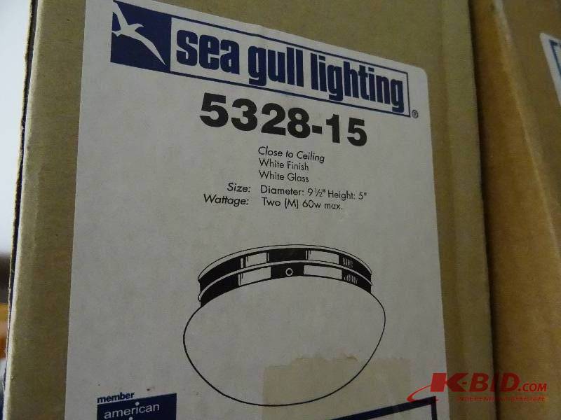 See Gull White globe light
