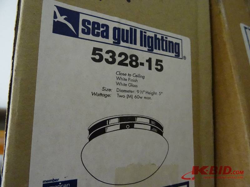 See Gull White globe light