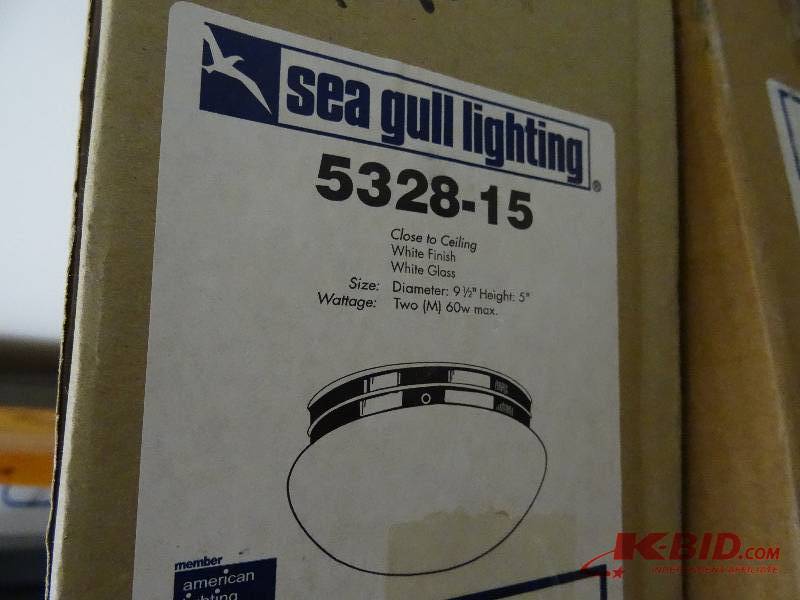See Gull White globe light