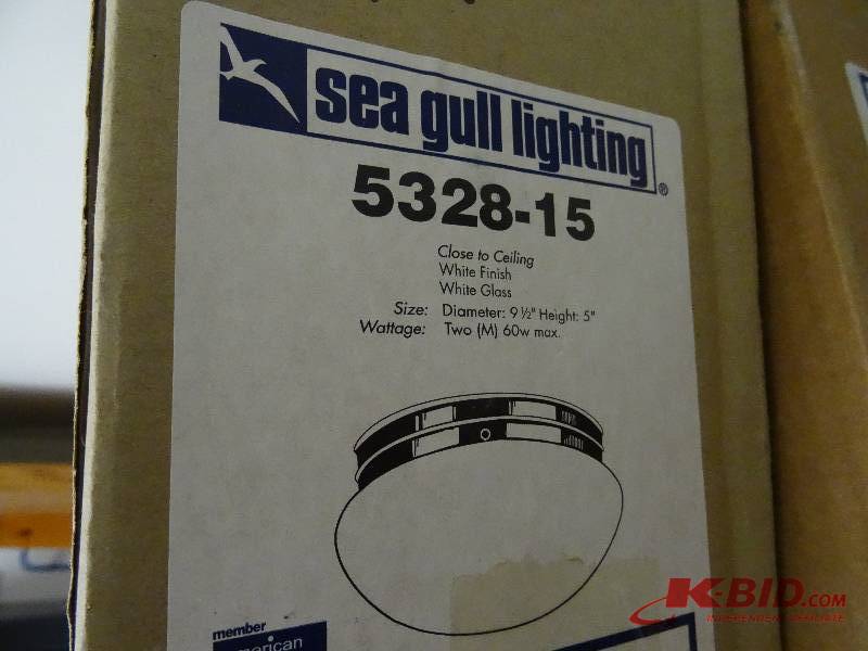 See Gull White globe light