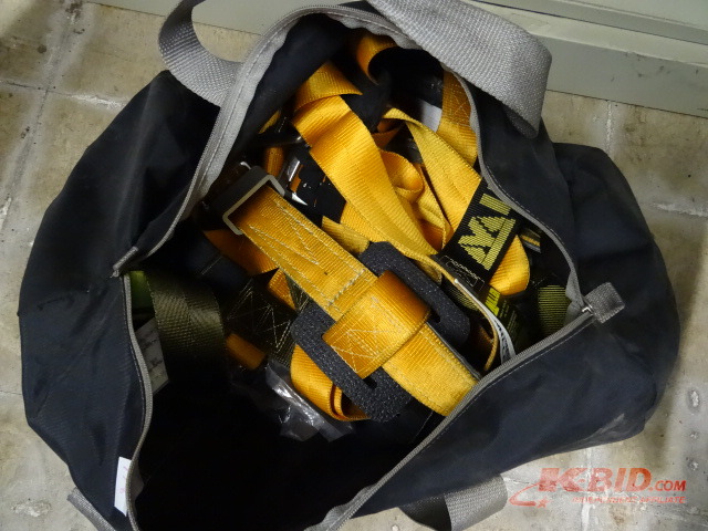 Restraint Harness