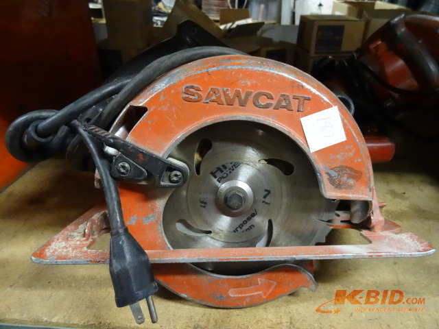 Saw Cat