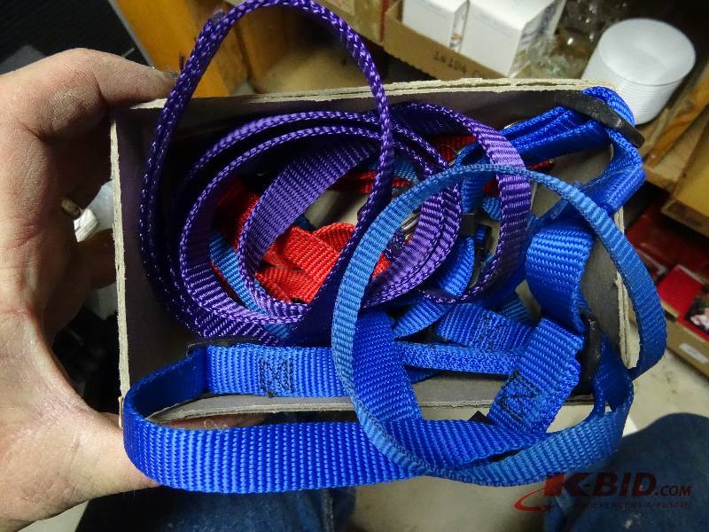 Dog Items