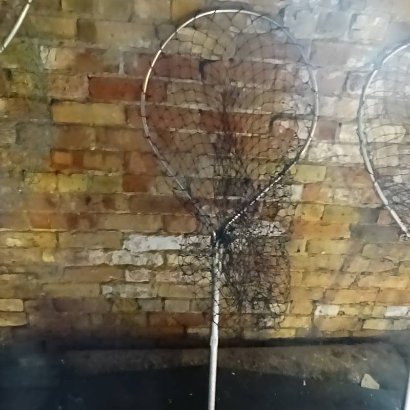 Fish Net