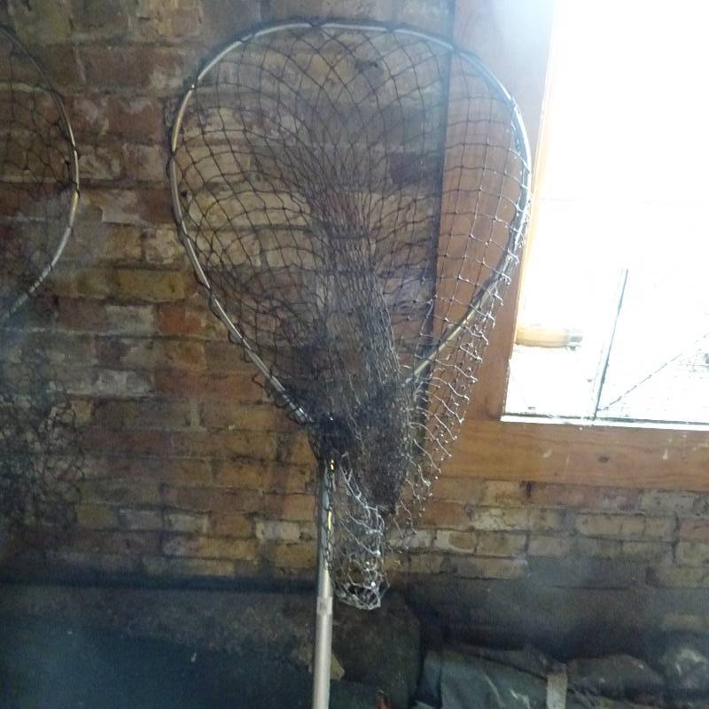 Fish Net
