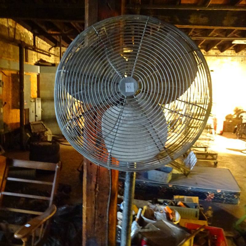 Pedestal Fan