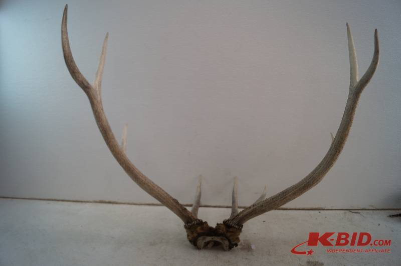 Antlers
