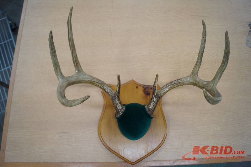 Antlers