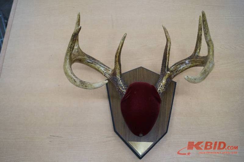 Antlers