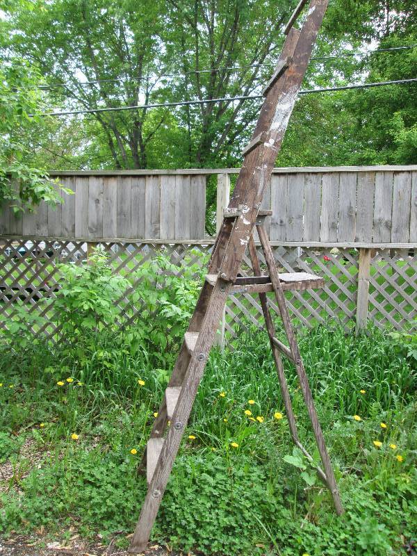 Wood step ladder with built on heig...