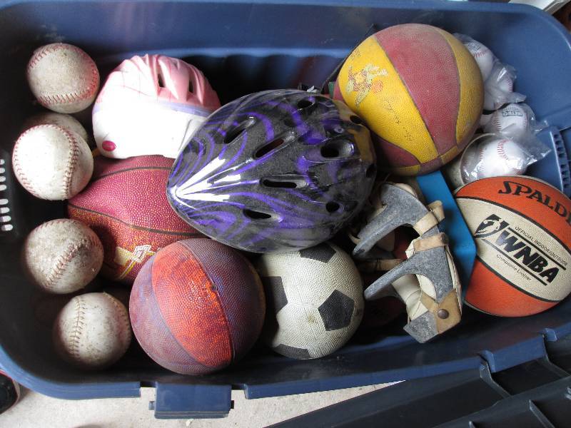 Large tote of balls and sports equi...