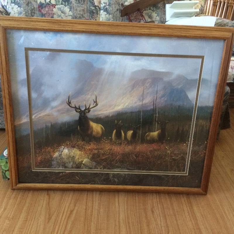 lot 25 image: Oak Framed Wild Life Art With Designer Matting