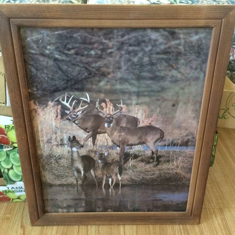 lot 27 image: Wildlife Picture  In A Nice Rustic Looking Wood Frame