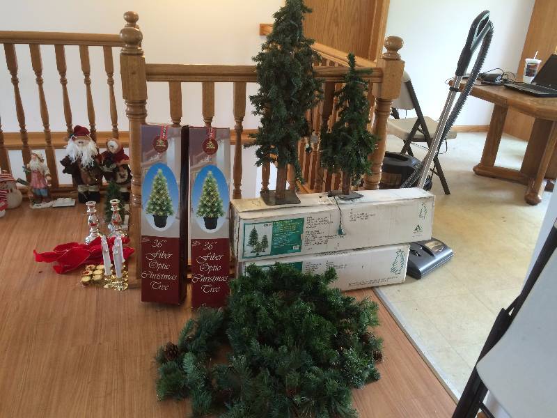lot 259 image: Christmas Trees