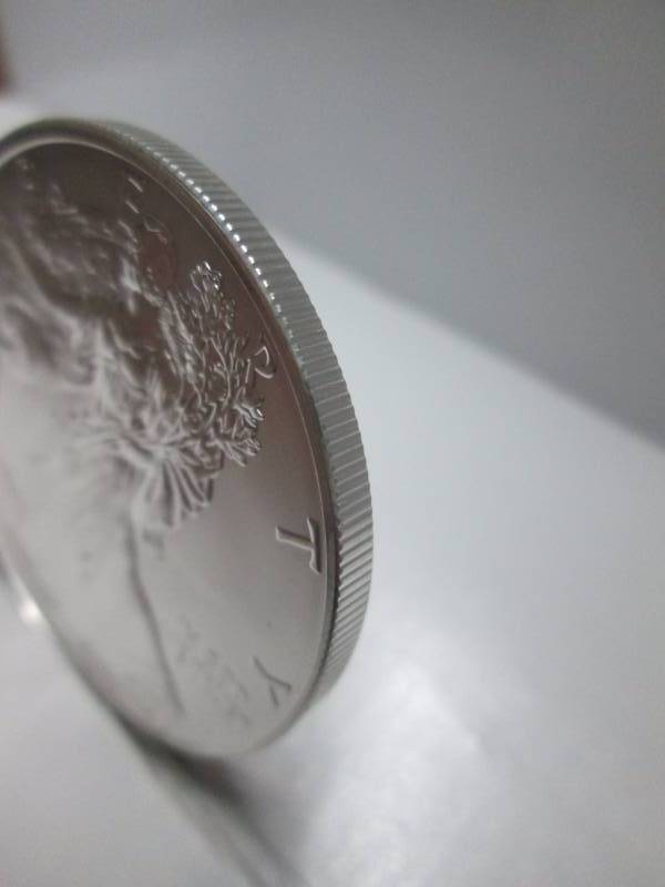 2015 Silver American Eagle