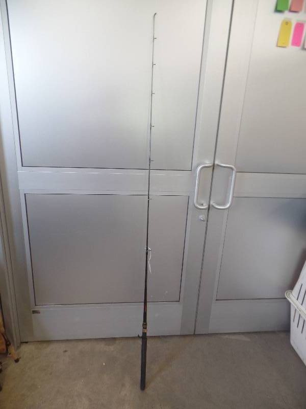 Fishing Rod