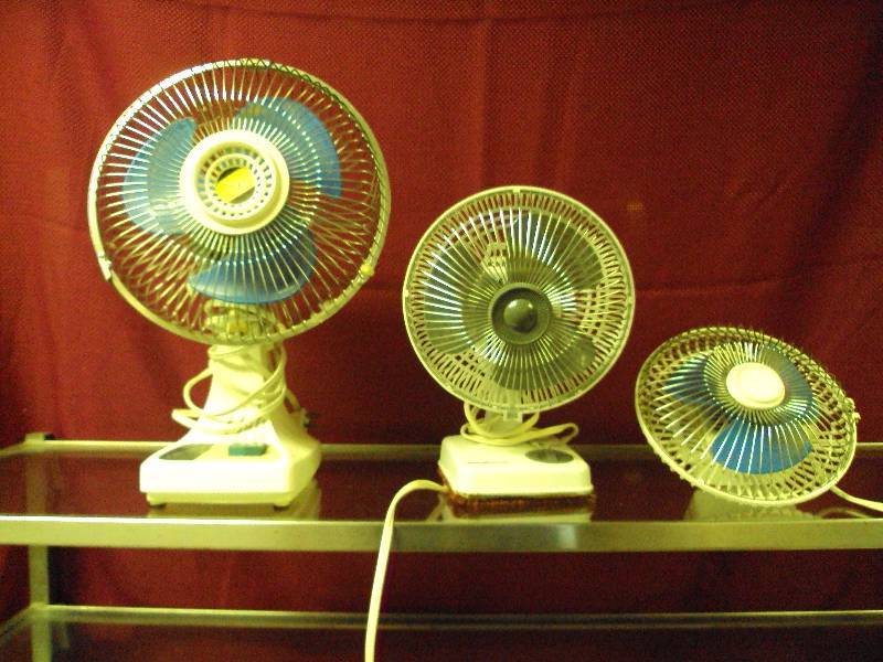 Fans