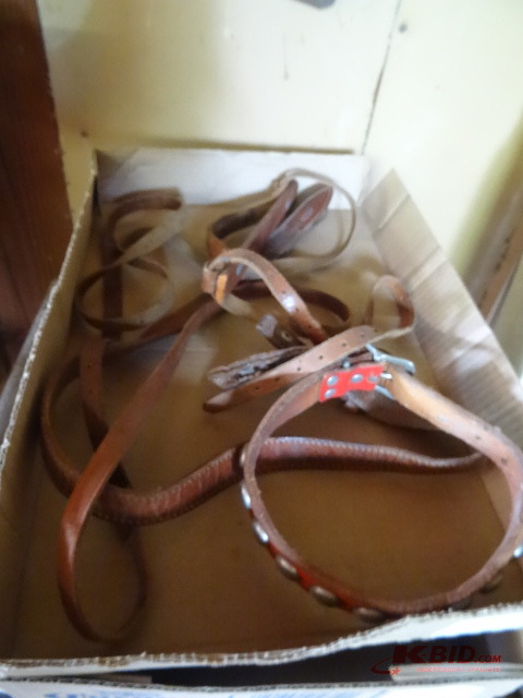 lot 177 image: Dog Collar