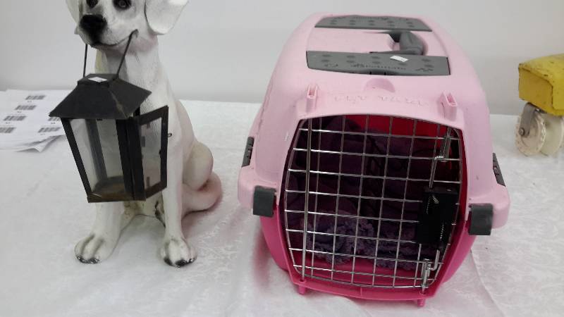 lot 33 image: pet taxi, dog dcor