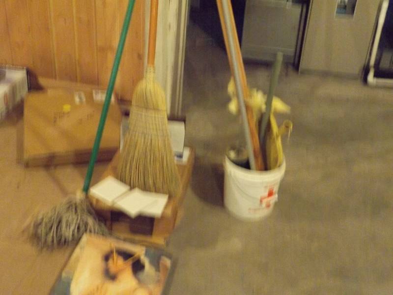 lot 176 image: Brooms and Mops and Picture