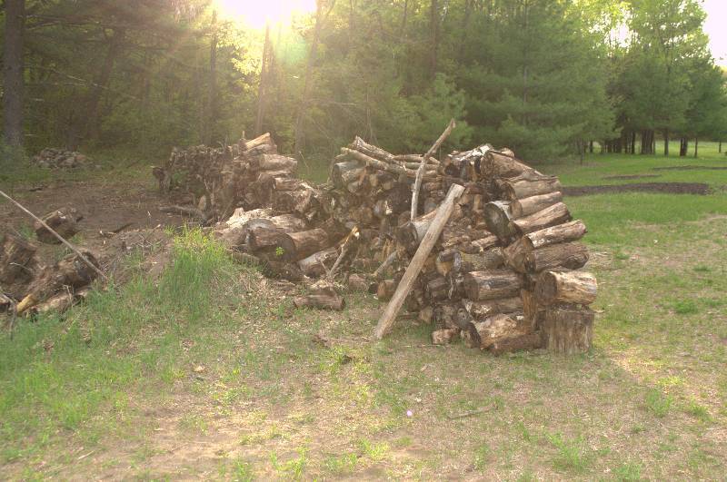 lot 39 image: APPROX 3 CORDS OF FIREWOOD