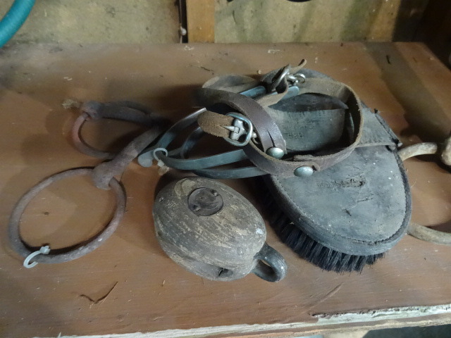 Horse Items