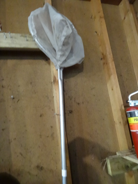 Minnow Net