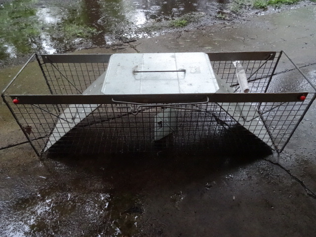 Animal Trap