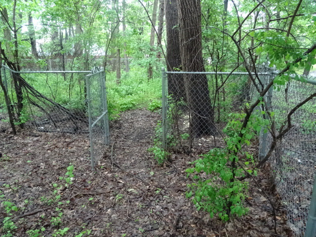 Chain Link Fence