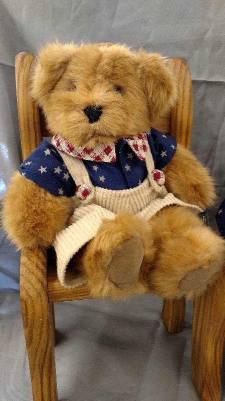 Patriotic Teddy Bear Set
