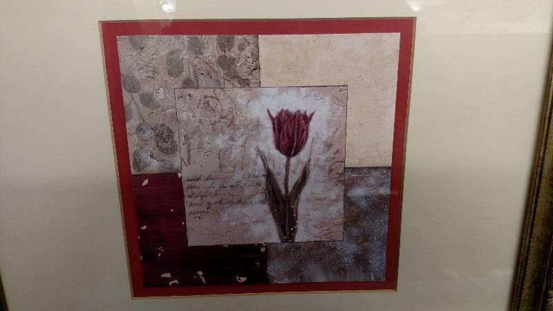 Framed Flower Print