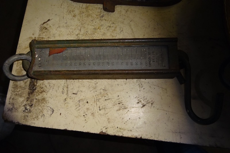 lot 34 image: Hansen scale