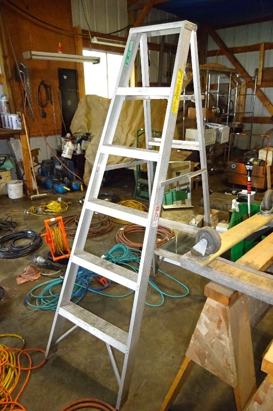 lot 127 image: Aluminum ladder