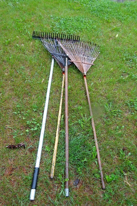 lot 218 image: 4 rakes