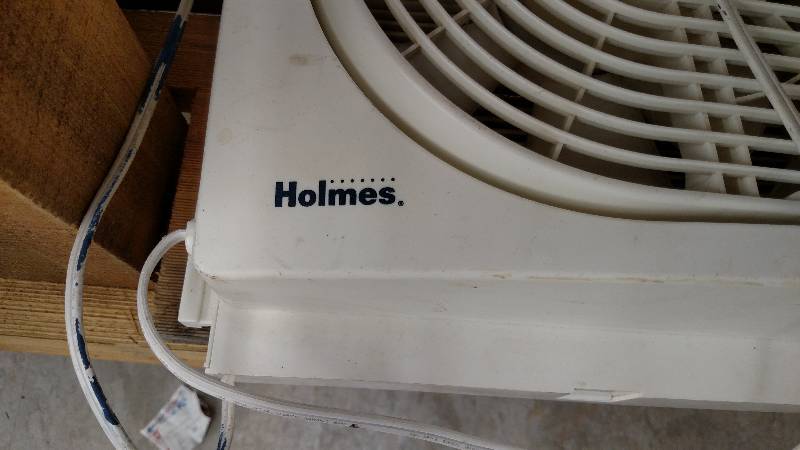 Oscillating Fan