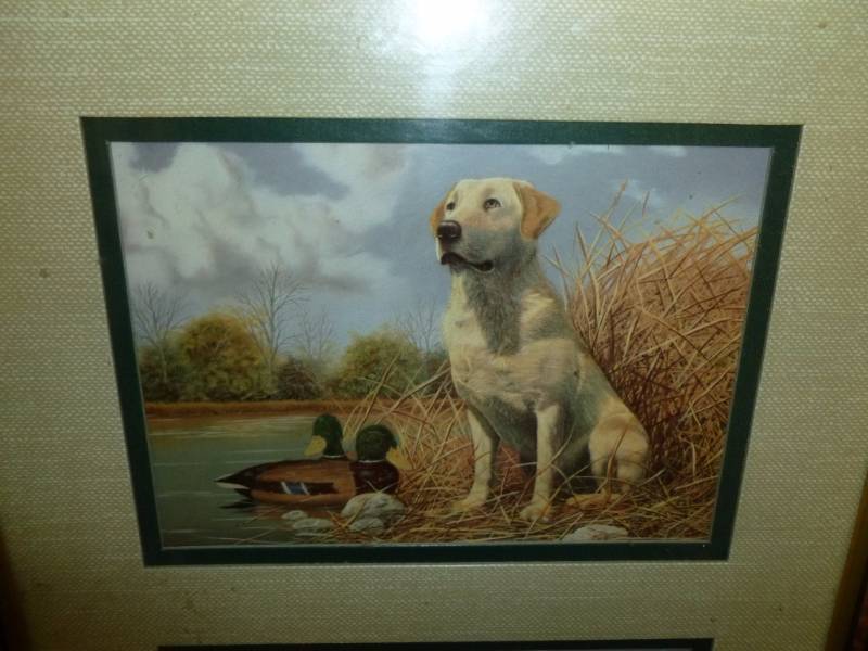 lot 21 image: Dog Print