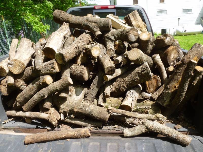 lot 98 image: Campfire Wood