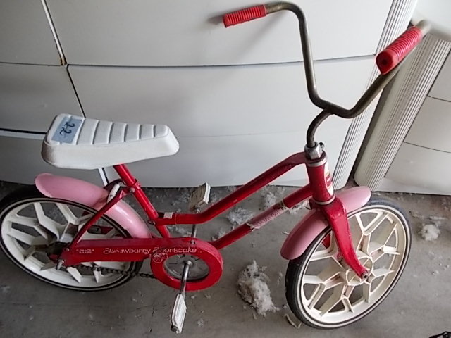lot 22 image: 16 Inch Girls Bike