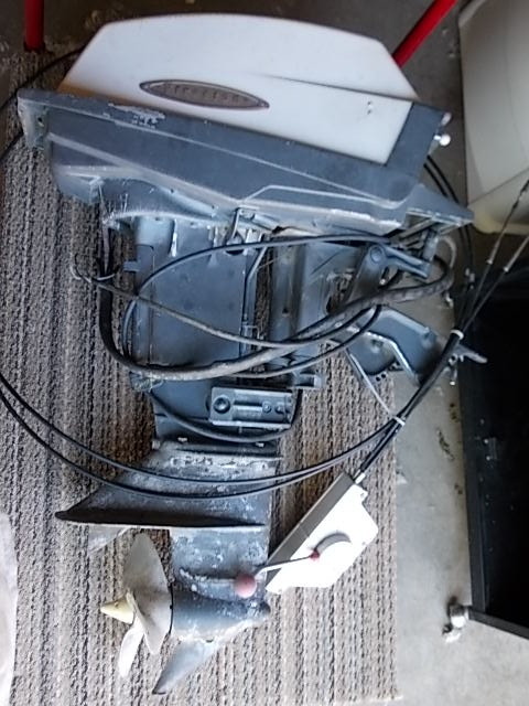 lot 107 image: Outboard Motor