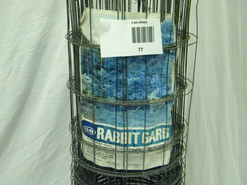 lot 77 image: Rabbit Guard