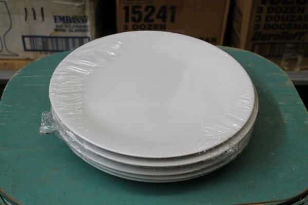 Dinner Plates