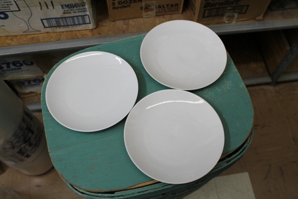 Dinner Plates
