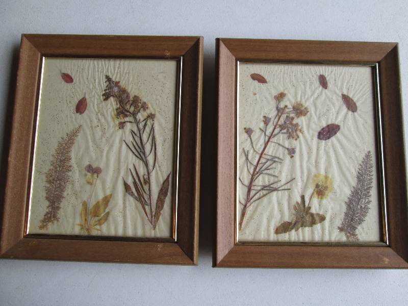 Pair of framed pressed plants 10 x ...